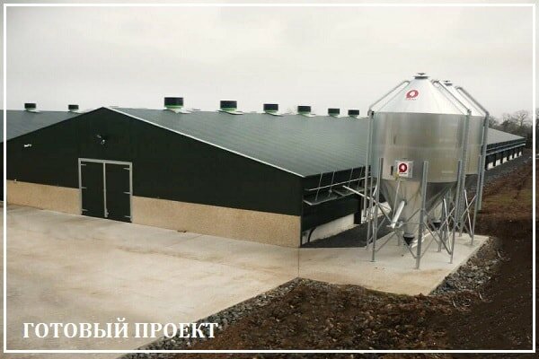 Этапы возведения птицефабрики от завода ВелесТент-клн